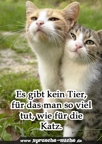 Geburtstagswunsche Bilder Tiere