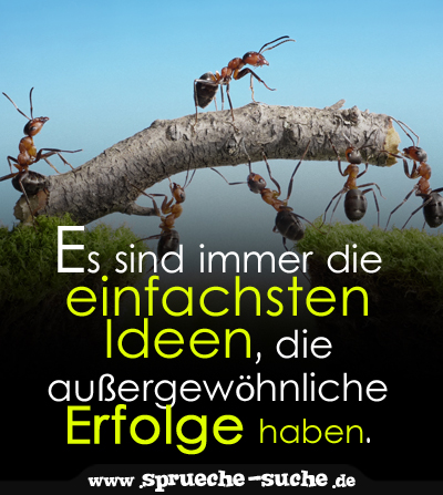 englische sprichwörter und zitate