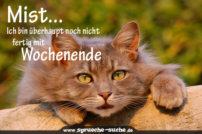 goethe zitate wein