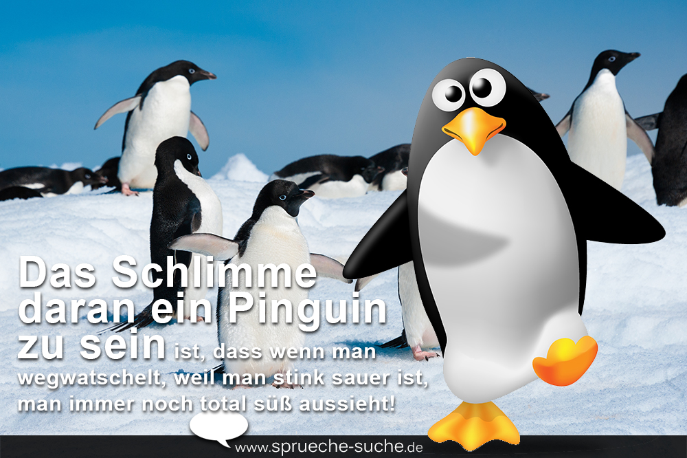 Liebesspruch Pinguin Suzanmayajudy Web