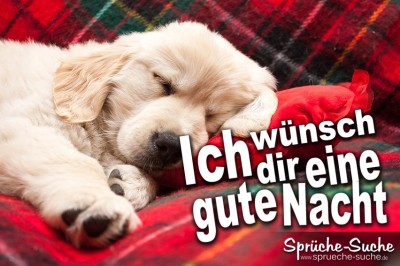 Gute nacht Sprüche mit schlafenden Hund