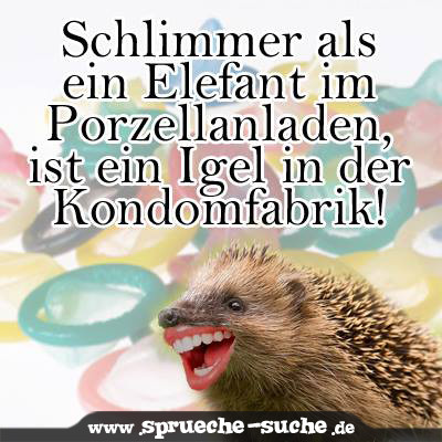 Spruch Igel Kondom