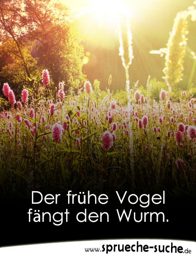 Der frühe Vogel fängt den Wurm Spruchbild