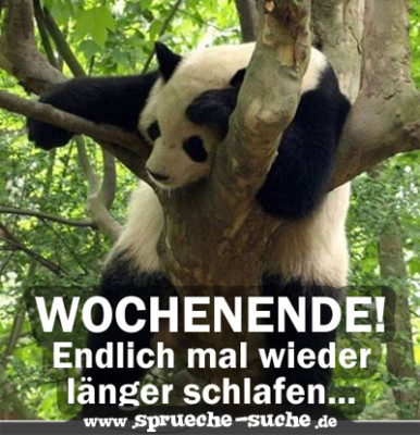 Wochenende - endlich mal wieder länger schlafen!