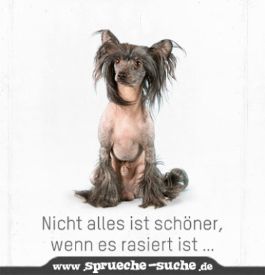 rasiert-lustig