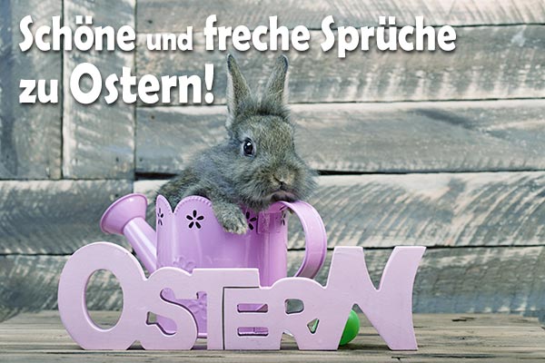 Schöne und freche Sprüche zu Ostern SprücheSuche