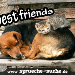 best friends