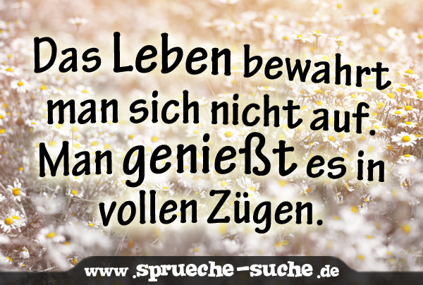 Das Leben Geniessen Spruche Suche