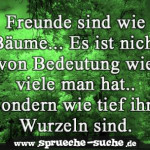 Freunde sind wie Bäume... Es ist nicht von Bedeutung wie viele man hat... Sondern wie tief ihre Wurzeln sind.