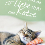 Alles was man braucht ist Liebe und eine Katze.