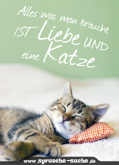 Alles was man braucht ist Liebe und eine Katze.