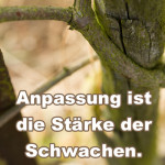 Anpassung ist die Stärke der Schwachen.