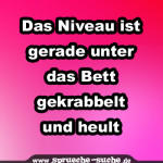 Das Niveau ist gerade unter das Bett gekrabbelt und heult