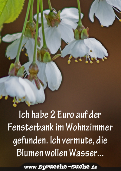 Ich habe 2 Euro auf der Fensterbank im Wohnzimmer gefunden. Ich vermute, die Blumen wollen Wasser...