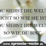 Du siehst die Welt nicht so wie sie ist, du siehst die Welt so wie du bist.