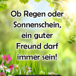 Ob Regen oder Sonnenschein, ein guter Freund darf immer sein!