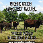 Eine Kuh macht muh, viele Kühe machen Mühe.