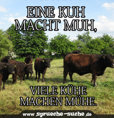 Eine Kuh macht muh, viele Kühe machen Mühe. SprücheSuche