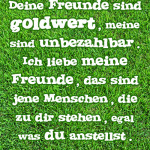 Deine Freunde sind goldwert, meine sind unbezahlbar. Ich liebe meine Freunde, das sind jene Menschen, die zu dir stehen, egal was du anstellst.