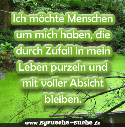 Get Sprueche zufall For Android