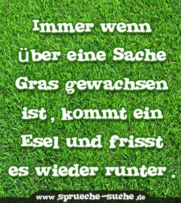 Immer wenn über eine Sache Gras gewachsen ist, kommt ein Esel und