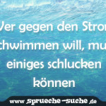 Wer gegen den Strom schwimmen will, muss einiges schlucken können