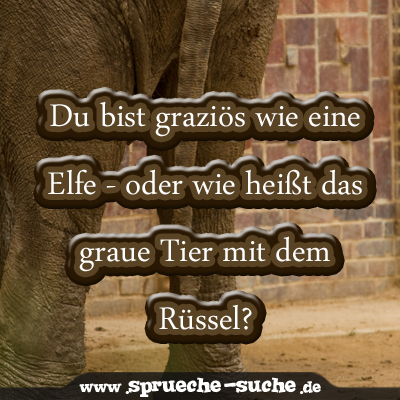 Du bist graziös wie eine Elfe - oder wie heißt das graue Tier mit dem Rüssel?