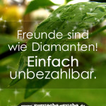 Freunde sind wie Diamanten! Einfach unbezahlbar.