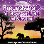 Freundschaft - So etwas wie Liebe mit Verstand