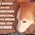 Je besser ich die Menschen kennenlerne, desto mehr liebe ich Hunde