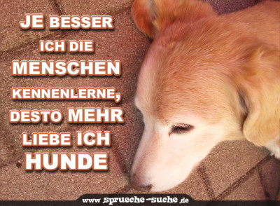 Je besser ich die Menschen kennenlerne, desto mehr liebe ich Hunde