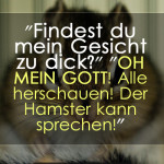 "Findest du mein Gesicht zu dick?" "OH MEIN GOTT! Alle herschauen! Der Hamster kann sprechen!"