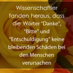 Wissenschaftler fanden heraus, dass die Wörter “Danke”, “Bitte” und “Entschuldigung” keine bleibenden Schäden bei den Menschen verursachen