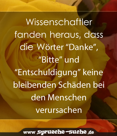 Wissenschaftler fanden heraus, dass die Wörter “Danke”, “Bitte” und “Entschuldigung” keine bleibenden Schäden bei den Menschen verursachen