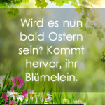 Wird es nun bald Ostern sein? Kommt hervor, ihr Blümelein.