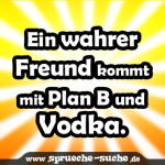 Ein wahrer Freund kommt mit Plan B und Vodka.