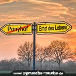 Ponyhof - Ernst des Lebens