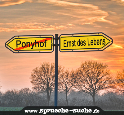 Ponyhof - Ernst des Lebens