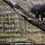 Freunde sind Personen, mit denen man lacht, mit denen man gemeinsam Spaß hat und die immer für einen da sind! Also weiß das auch zu schätzen und mache ihnen ab und zu eine Freude!