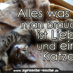 Alles was man braucht ist Liebe und eine Katze!