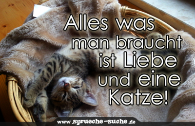 Alles was man braucht ist Liebe und eine Katze!