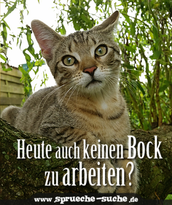 Heute auch keinen Bock zu arbeiten? SprücheSuche