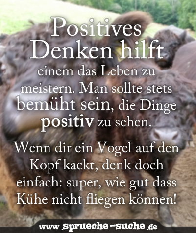 Positives Denken hilft einem das Leben zu meistern. Man sollte stets bemüht sein, die Dinge positiv zu sehen. Wenn dir ein Vogel auf den Kopf kackt, denk doch einfach: super, wie gut dass Kühe nicht fliegen können!