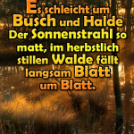 Es schleicht um Busch und Halde der Sonnenstrahl so matt, im herbstlich stillen Walde fällt langsam Blatt um Blatt.