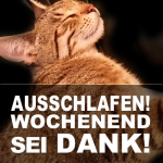 Ausschlafen! Wochenend sei Dank!