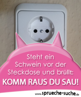 Steht ein Schwein vor der Steckdose...