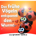 Das frühe Vögeln entspannt den Wurm!