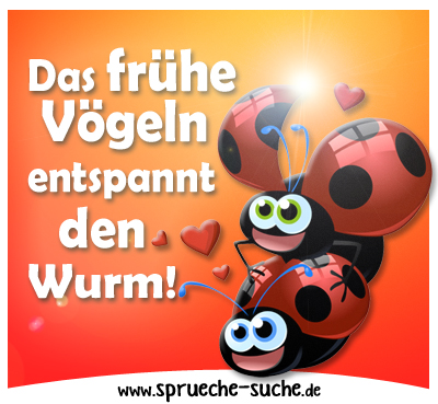 Das frühe Vögeln entspannt den Wurm!