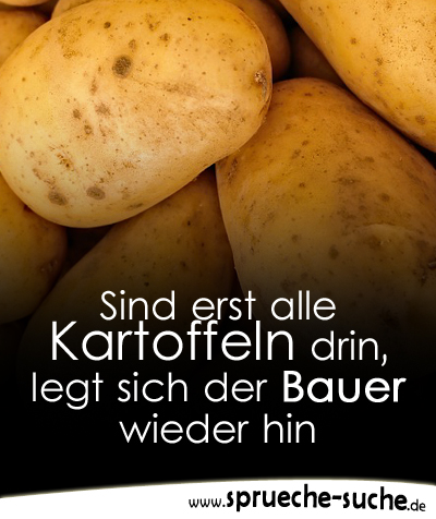 Sind erst alle Kartoffeln drin, legt sich der Bauer wieder hin