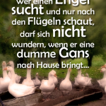 Wer einen Engel sucht und nur nach den Flügeln schaut, darf sich nicht wundern, wenn er eine dumme Gans nach Hause bringt.